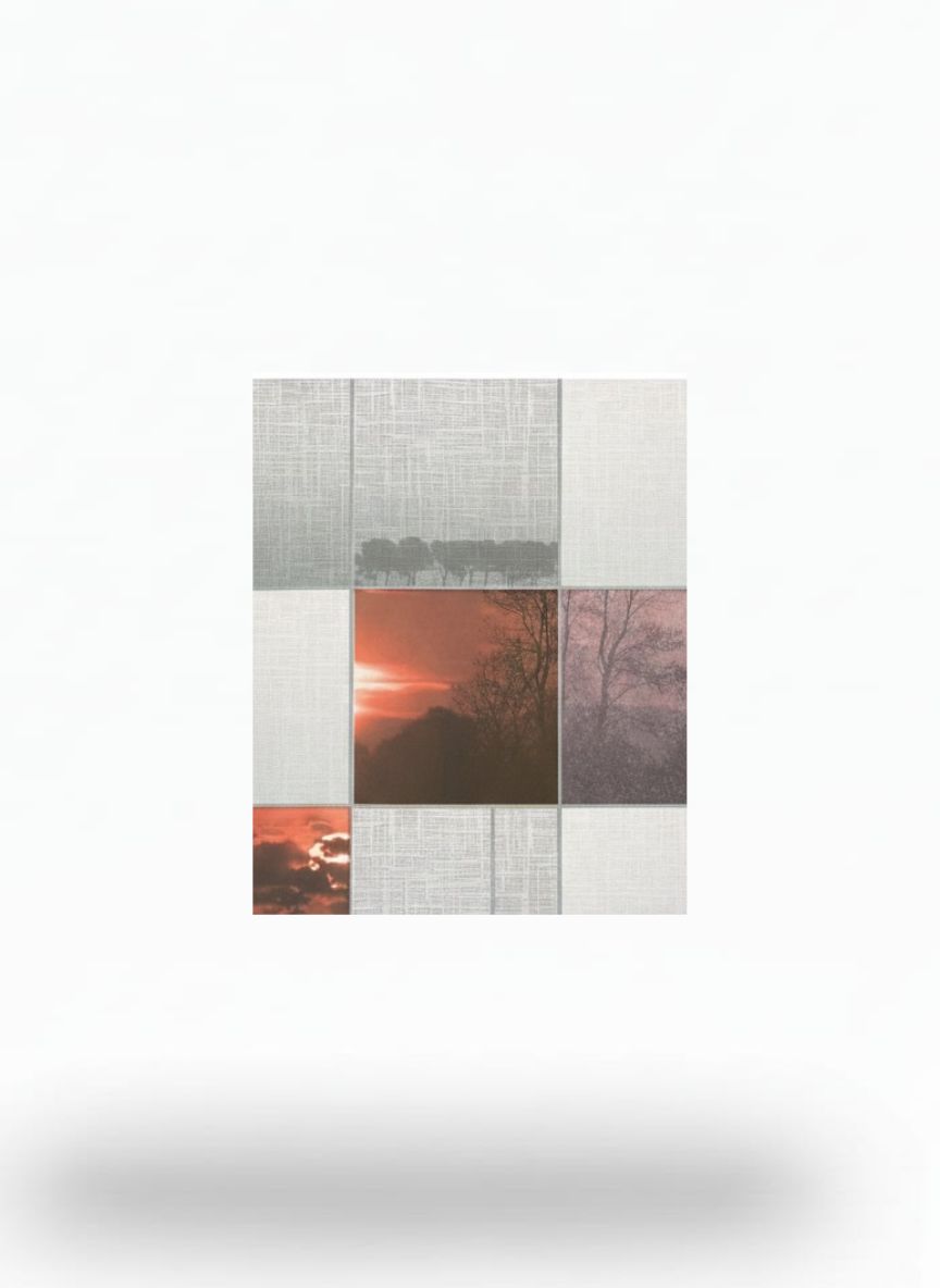 sunrise 10